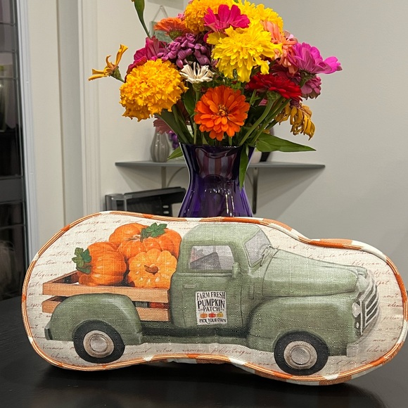 PRICE DROP - NWT FALL HARVEST DECORATIVE PILLOW - Picture 7 of 14